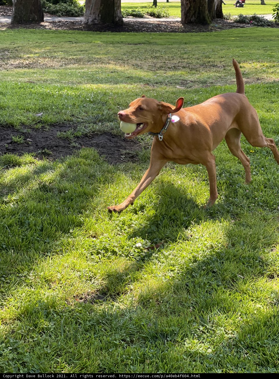 Catch Me If You Can