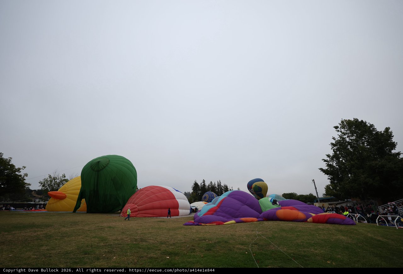 Hot Air Balloons Being Inflated at Morning Festival