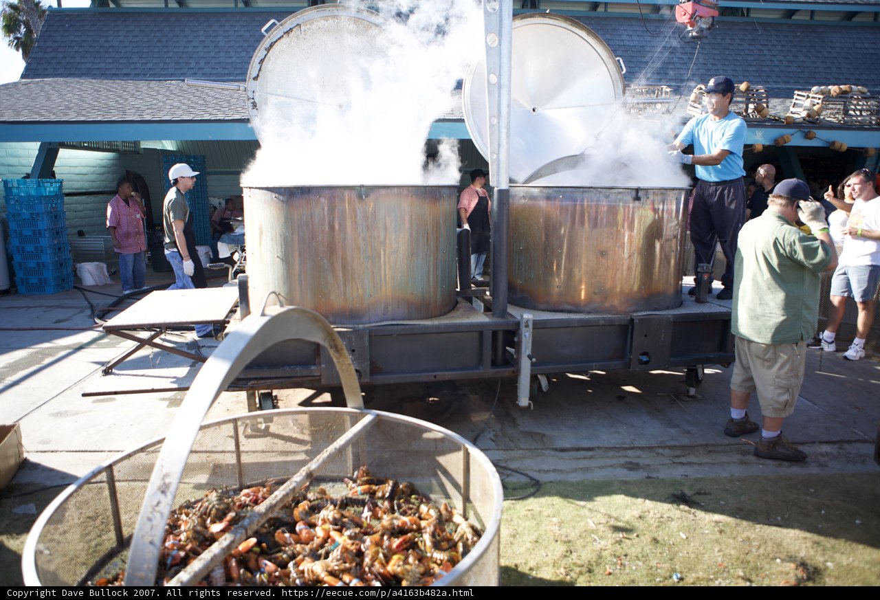 Boiling Fresh Crab for the Lobster Festival