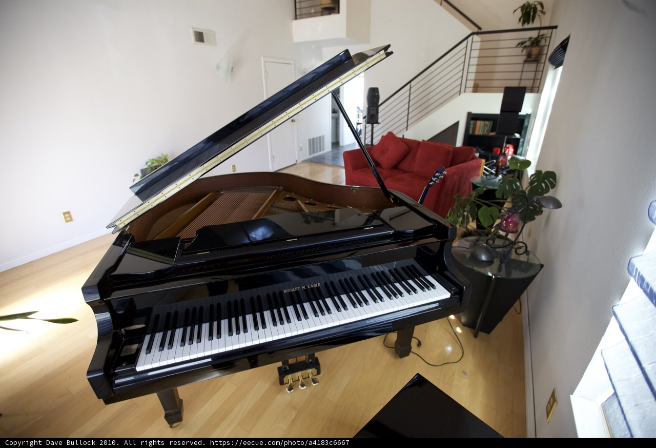 Ebony Keys and Floral Decor