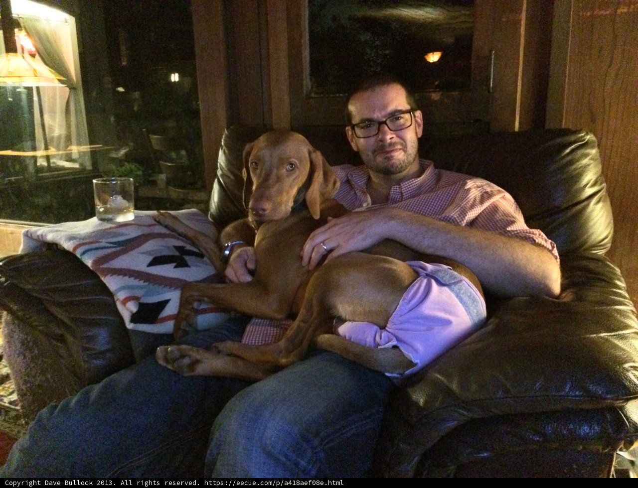 Portrait of a Man and His Canine Companion on the Couch