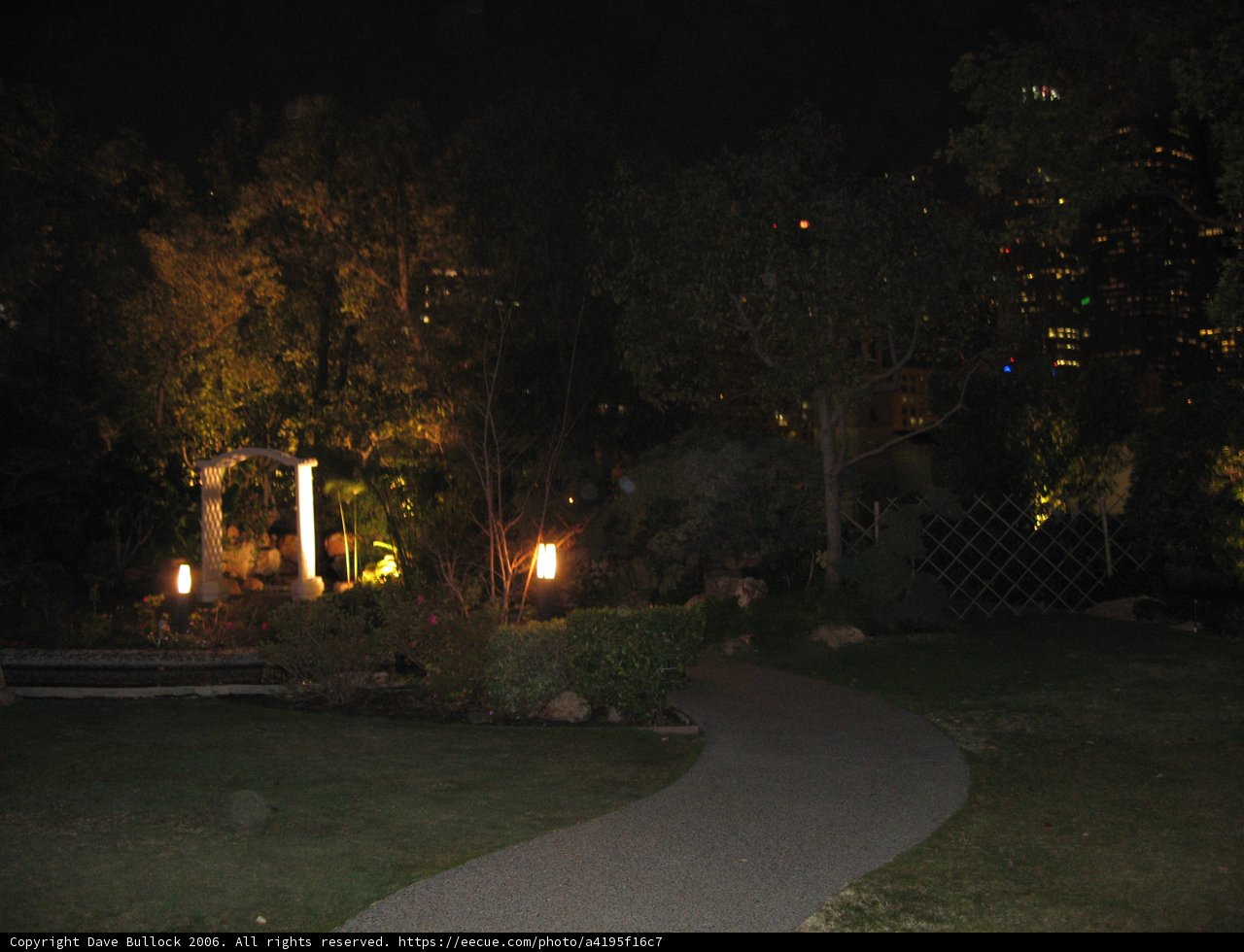 A Night Walk in the Park