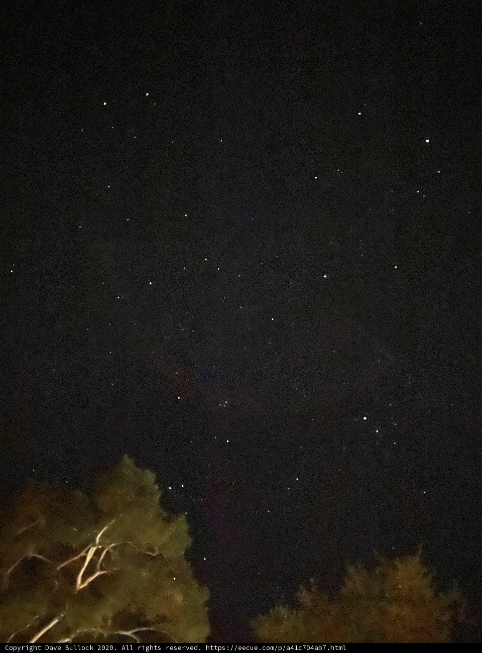 A Stellar Night in Carmel