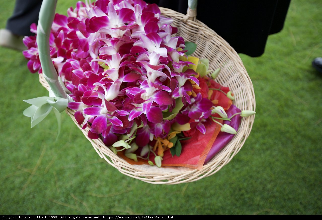 A Basket of Beautiful Blooms