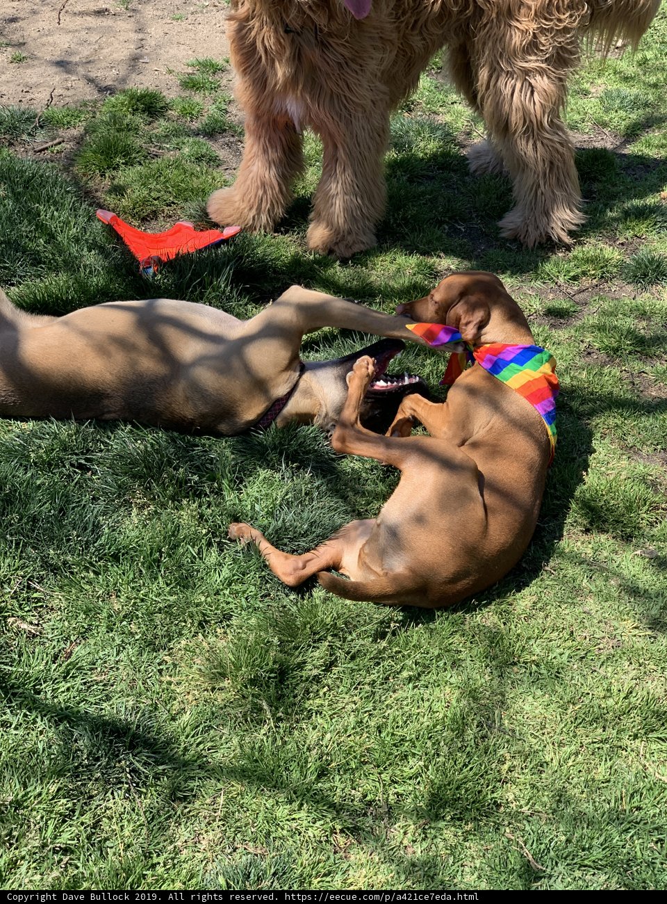 Fun in the Sun