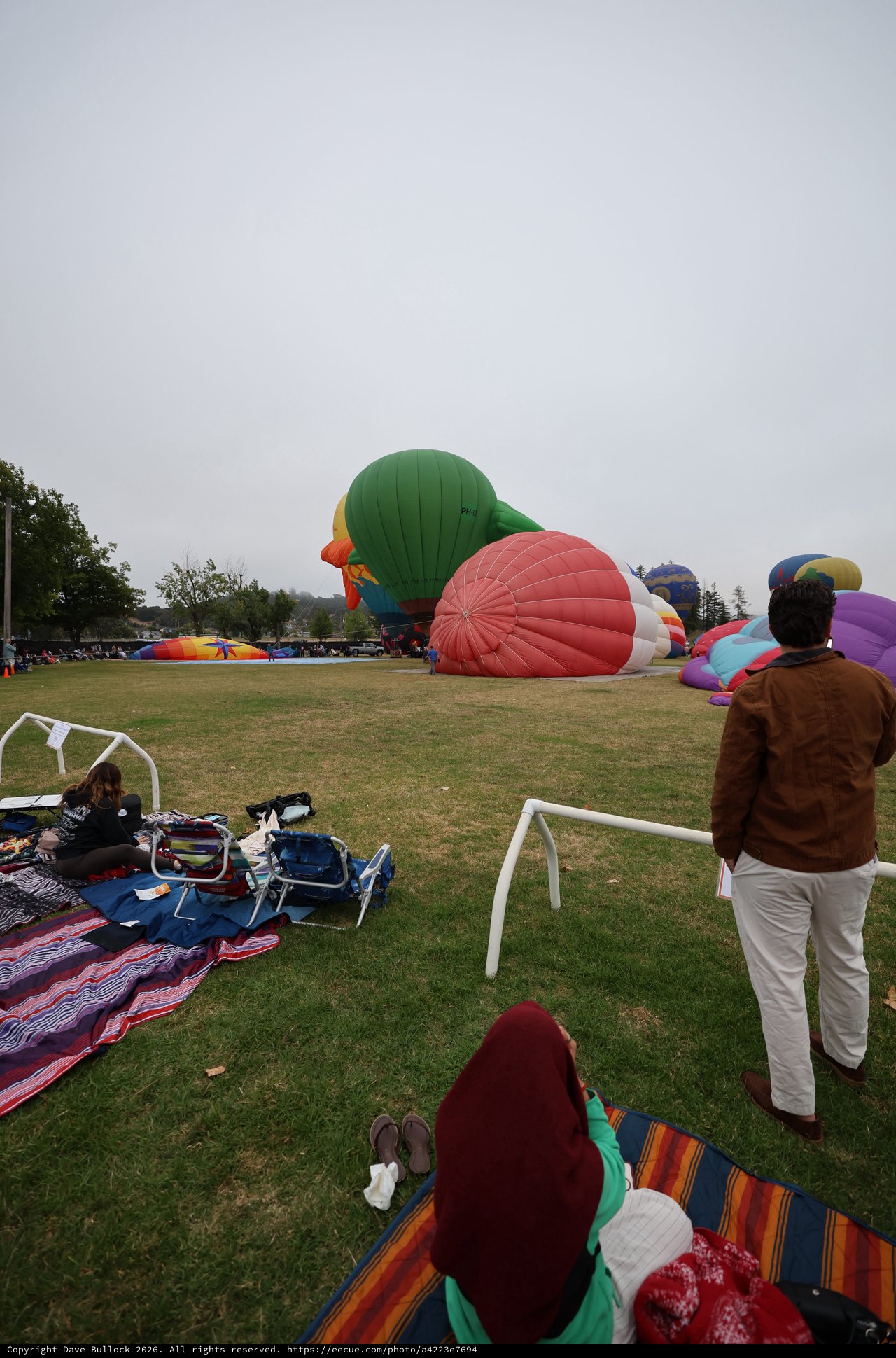 Hot Air Balloons Inflating at Sonoma County Classic