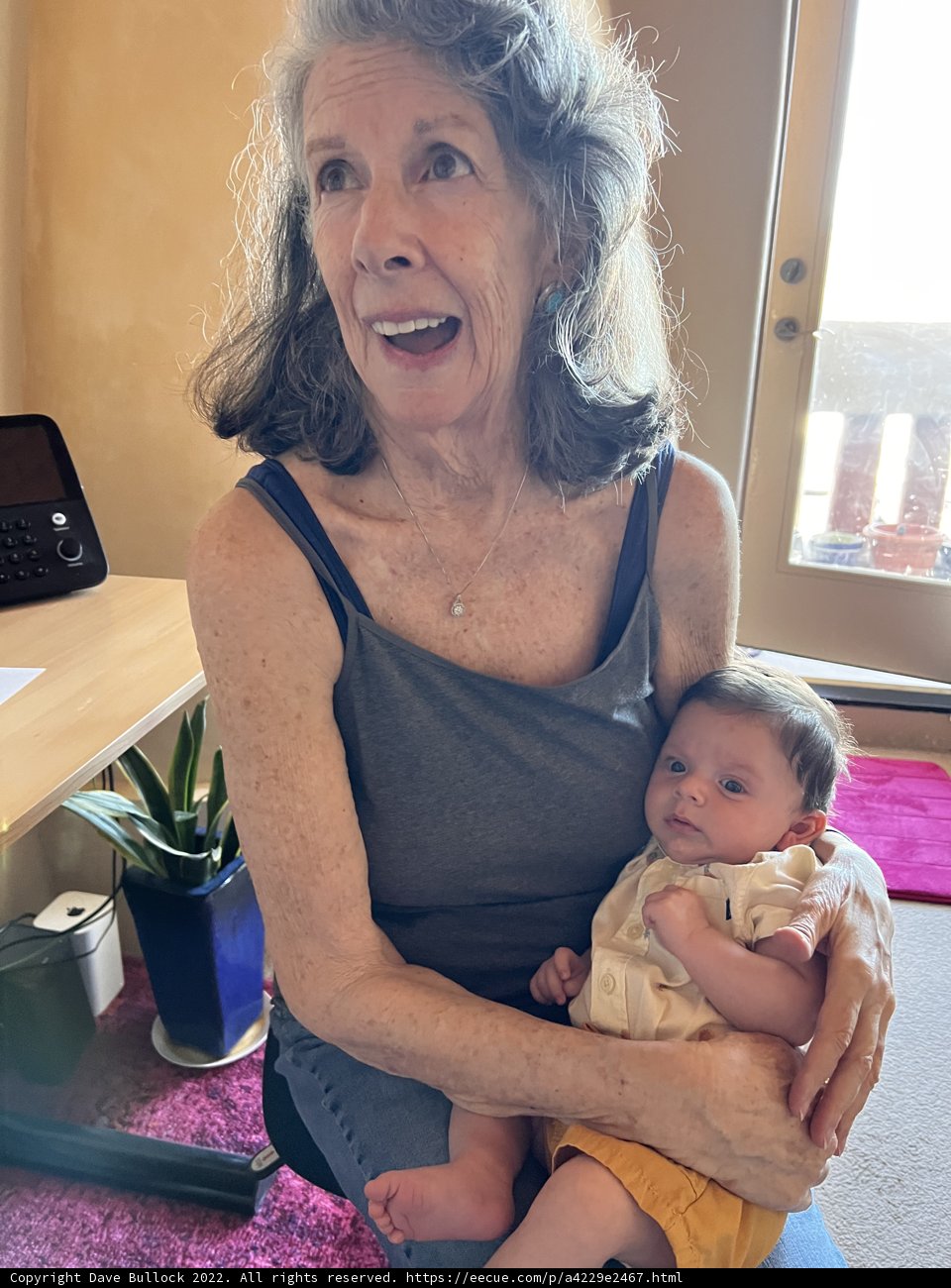 Portrait of a Grandmother and Grandchild