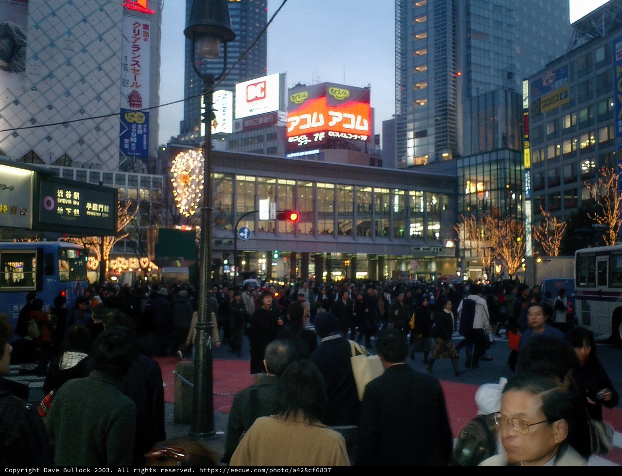 The Metropolis in Motion