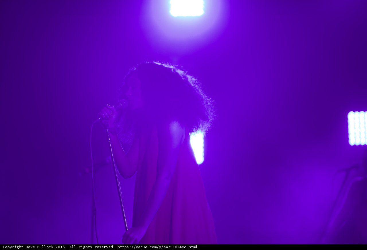 Florence Welch Head Down Hair Cascading Purple