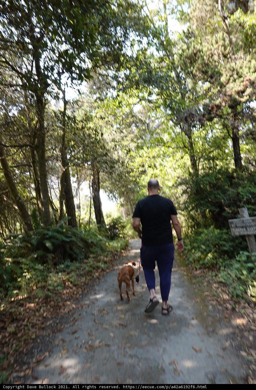 Walking Through the Wilds