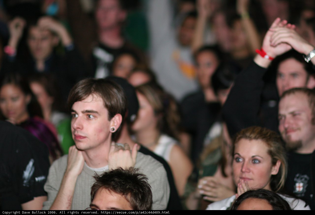 Electric Crowd with a Show Stopper