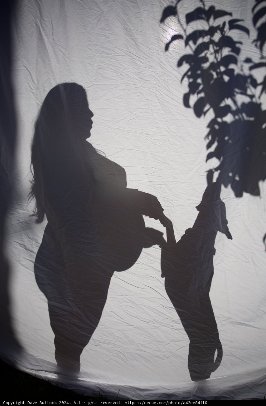 Shadows of Anticipation