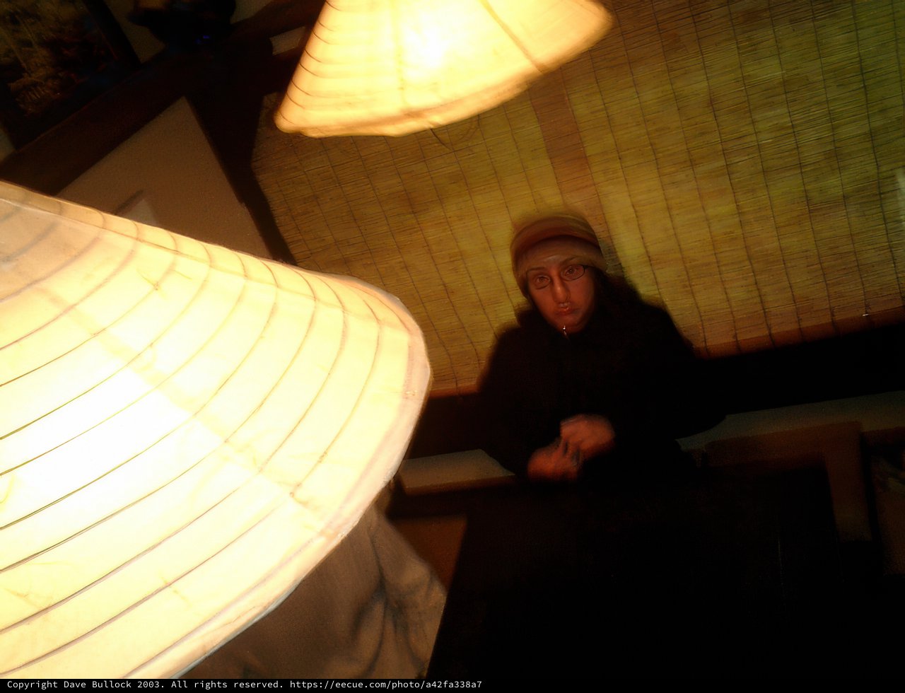 A Cozy Corner in Shibuya