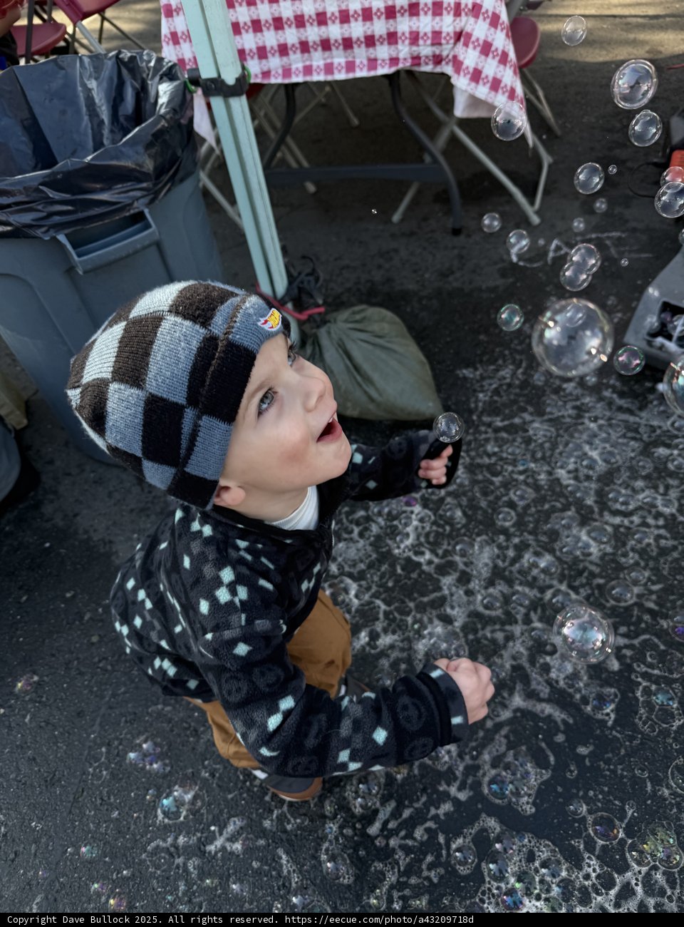 Bubbles of Joy