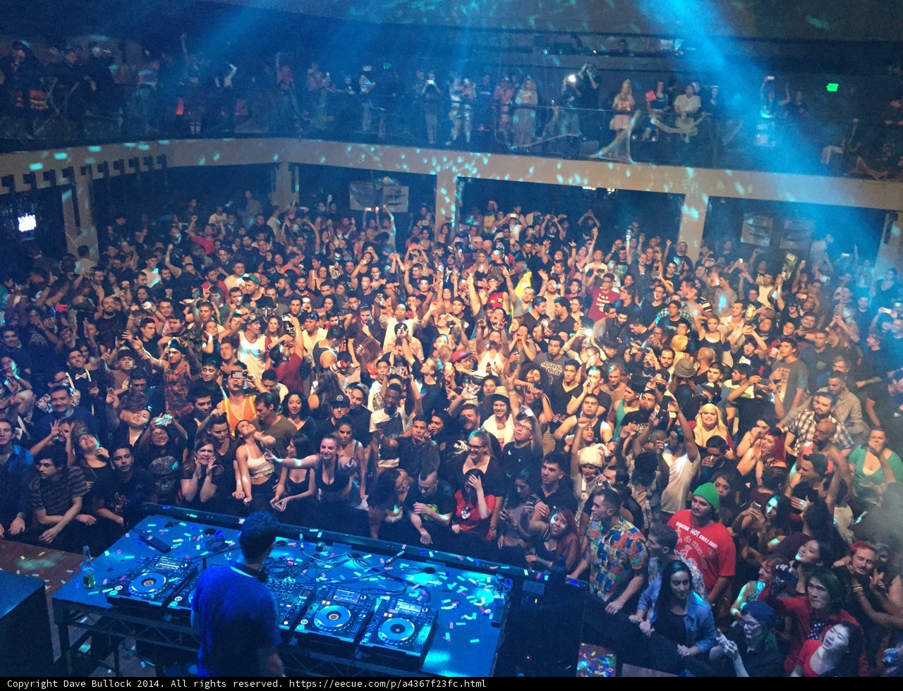 Nightclub Performance