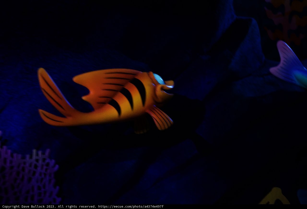 Discovering Nemo's Lost World