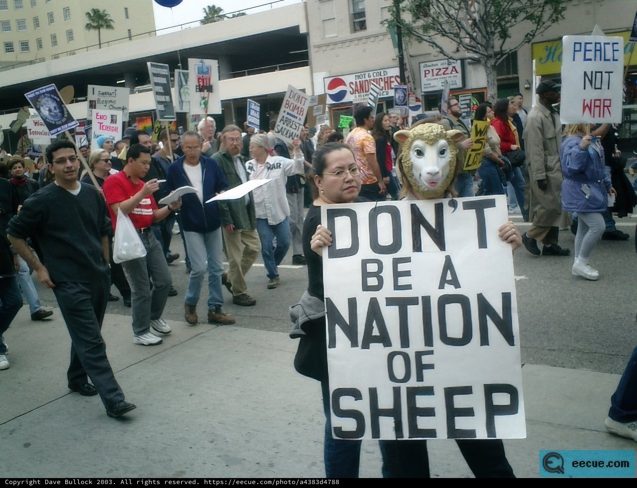 Don't Be a Sheep: A Powerful Message