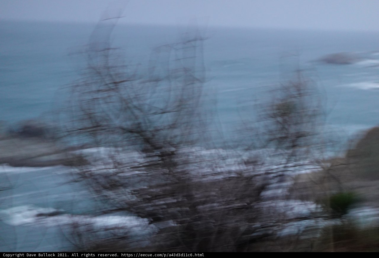 Misty Morning on the Shoreline