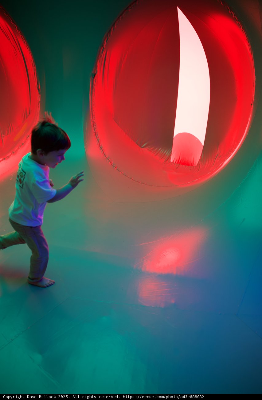 A Playful Dance of Light and Color
