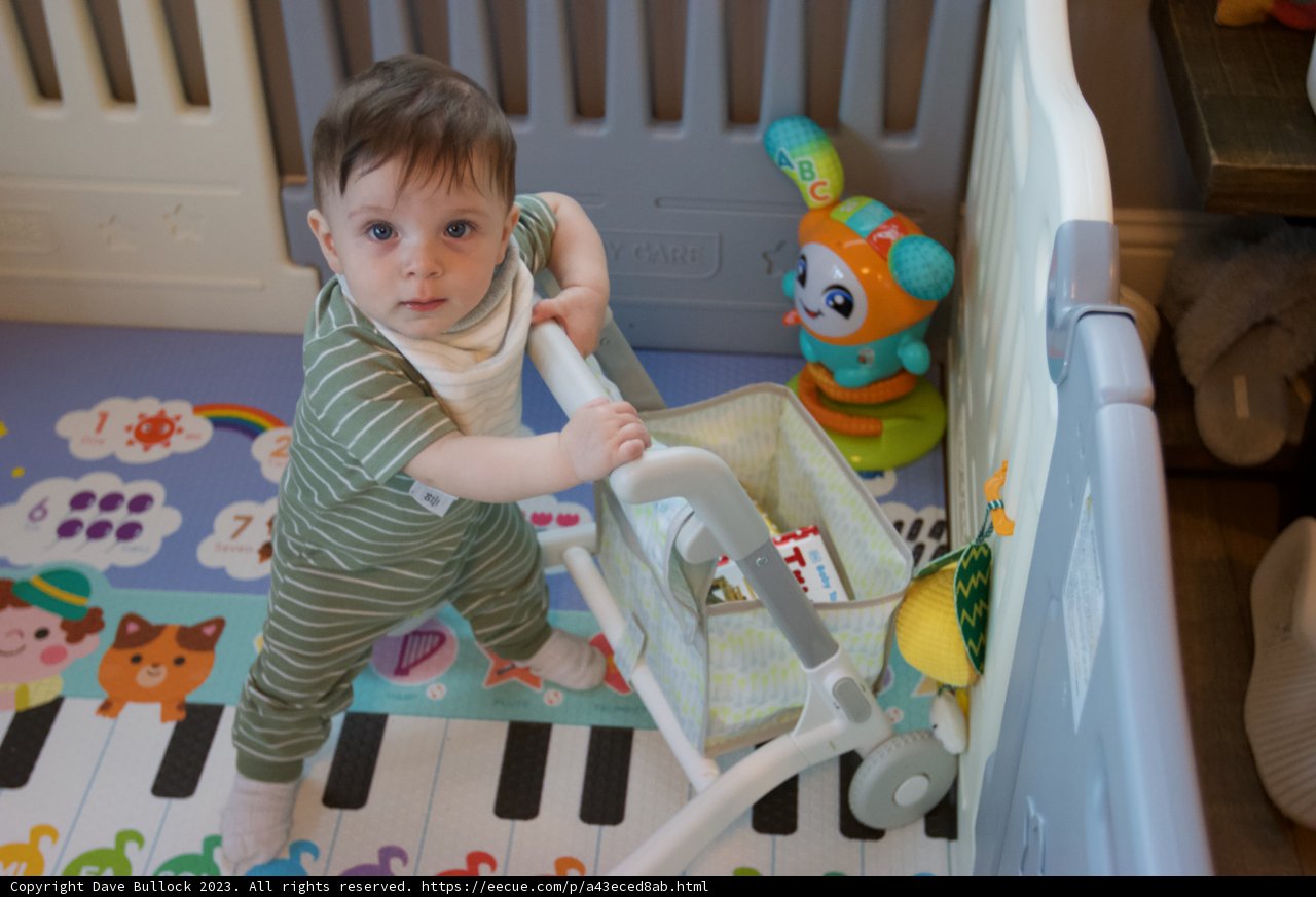 Sweet Dreams with Wesley and Toy Piano