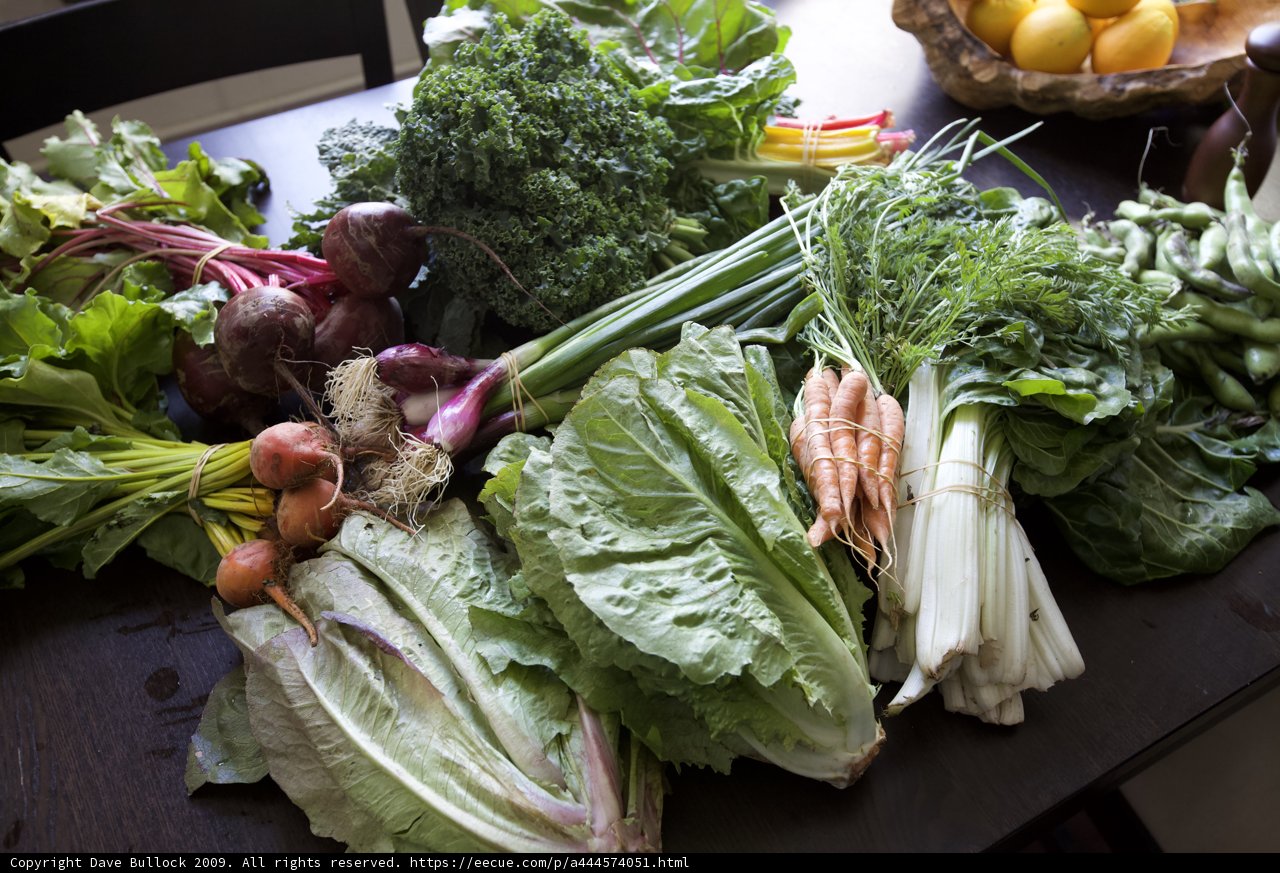 Fresh Harvests of South Central Veggies