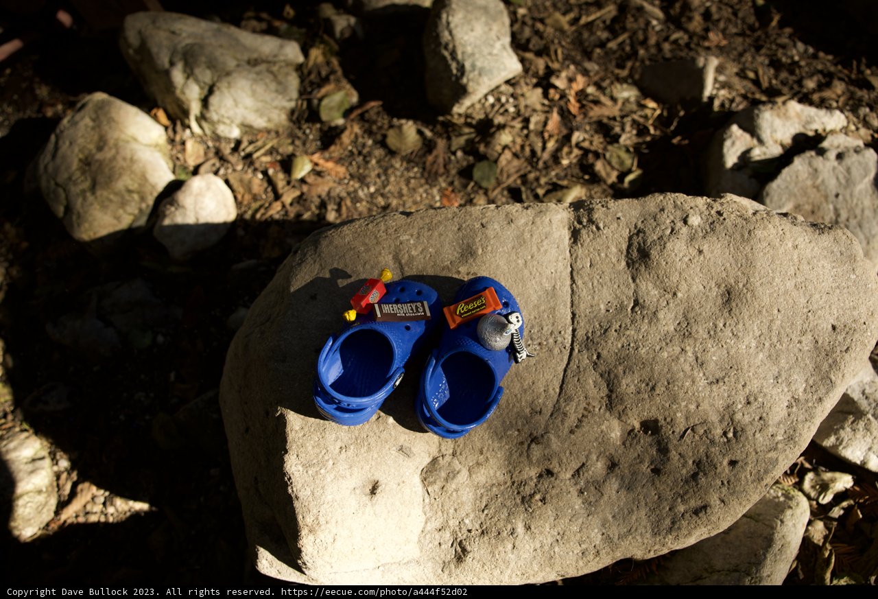 Offbeat Footsteps in Big Sur