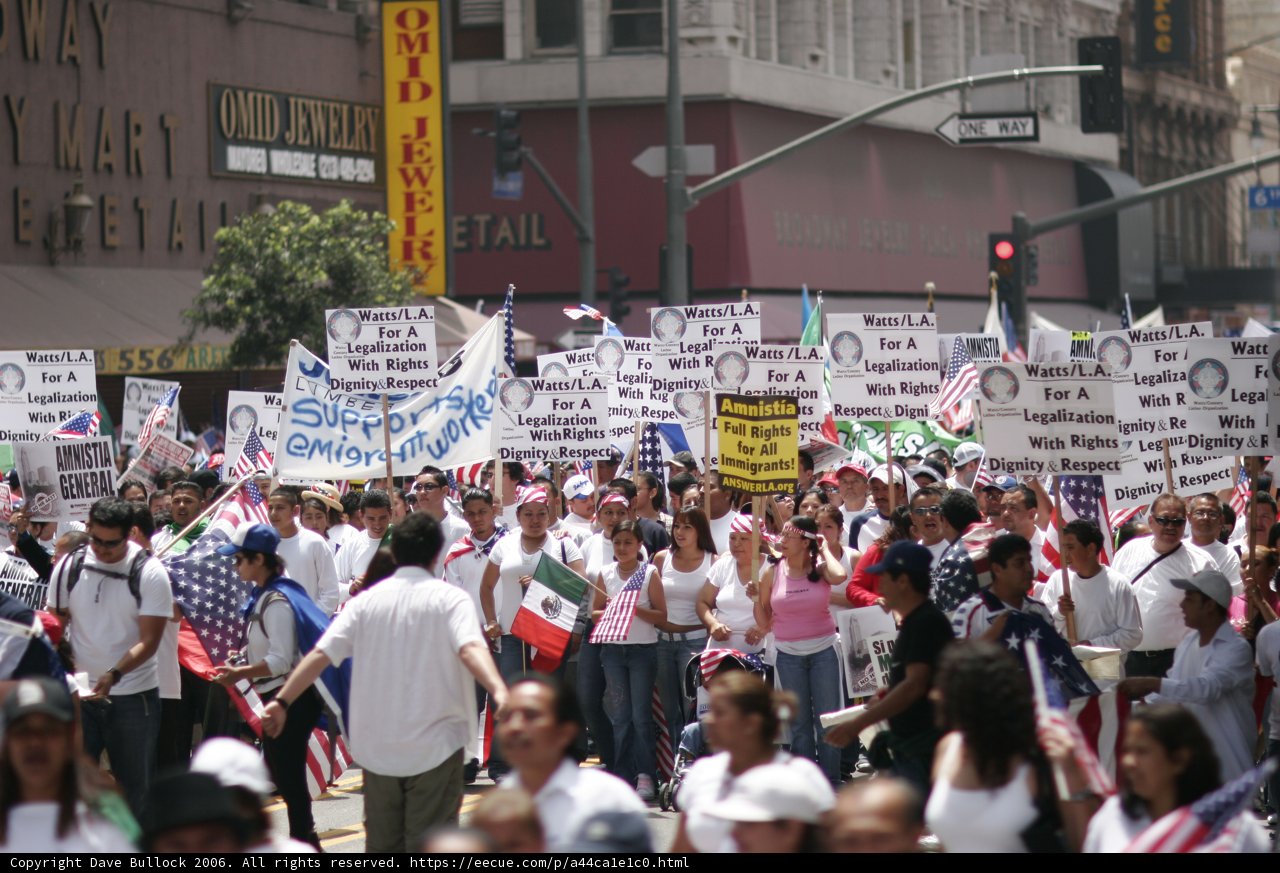 Protesters March through City with Signs and Flags