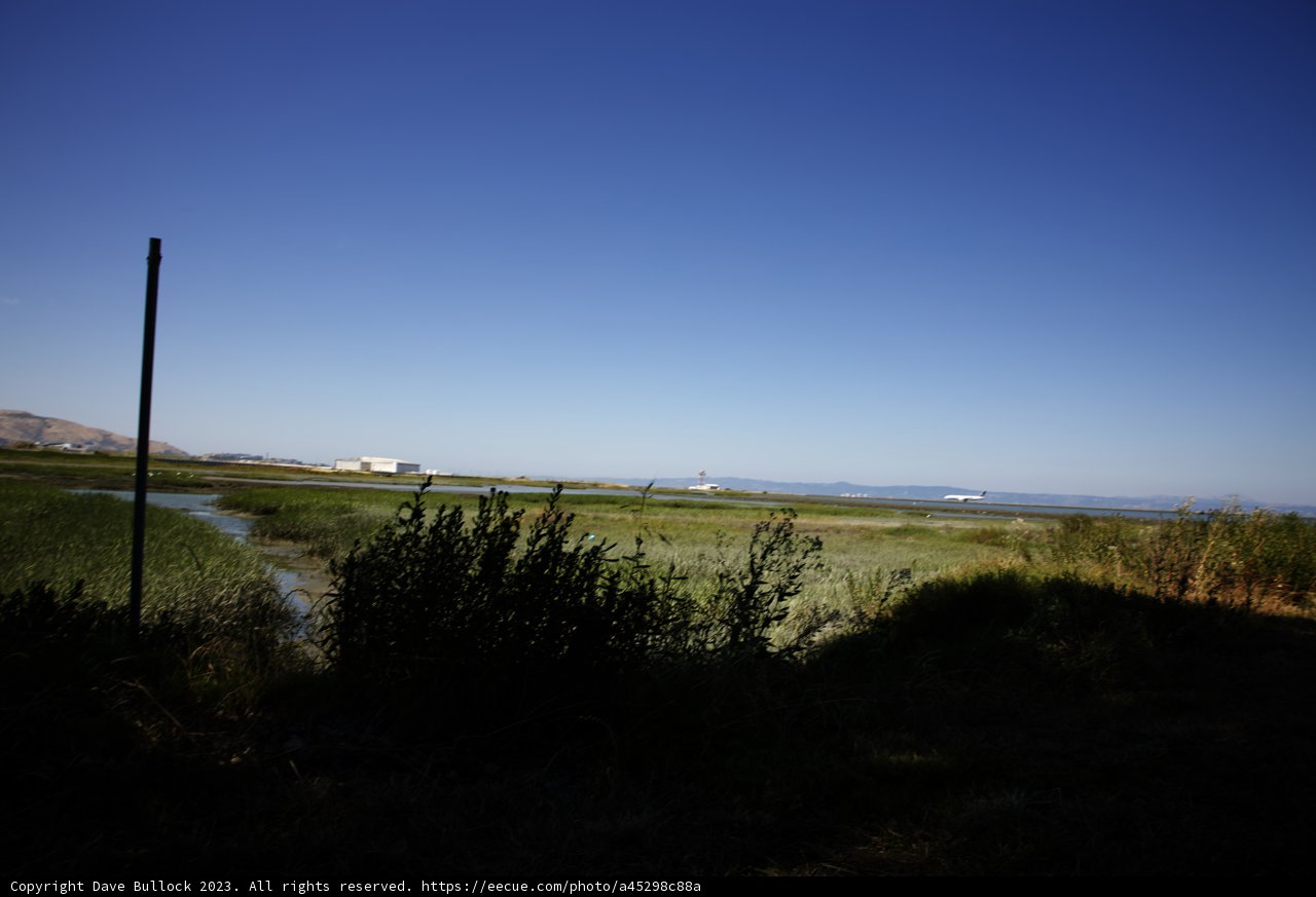 Serene Lakeside in Millbrae