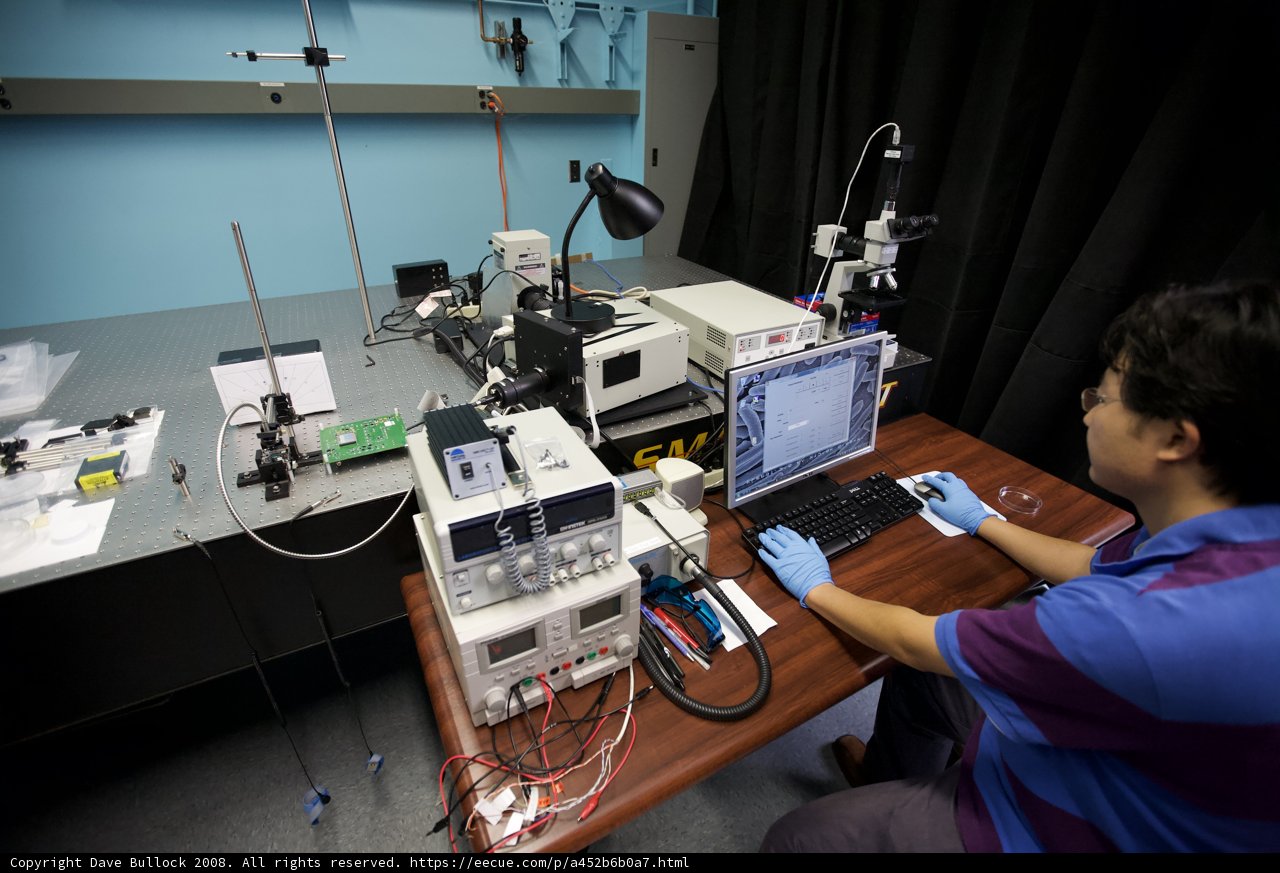 Computer Work in the Lab