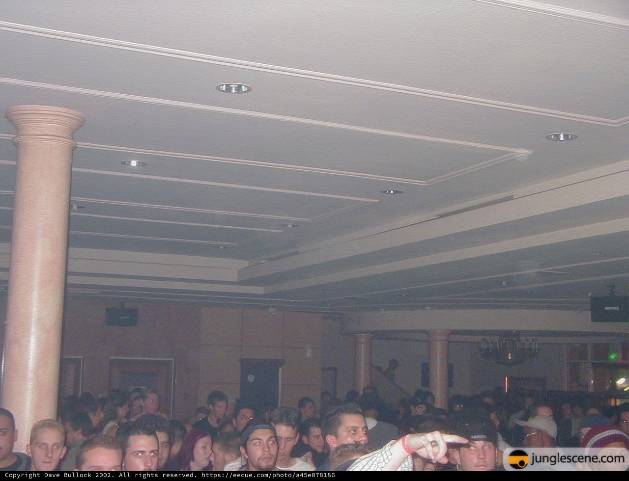 Nightclub Crowd in a Hazy Atmosphere