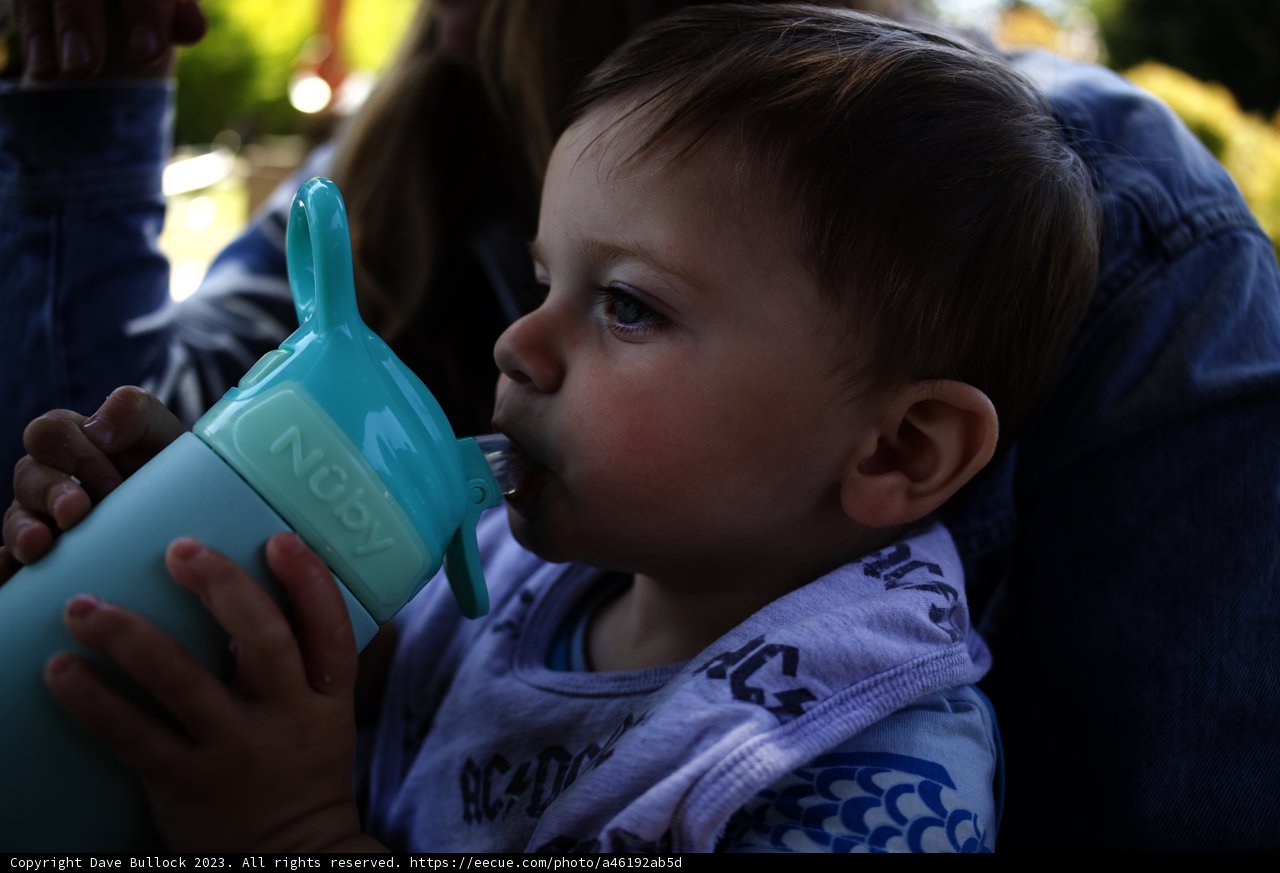 Junior's First Sip