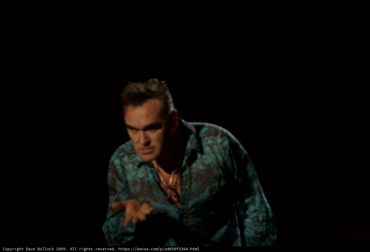 Morrissey points out to the crowd