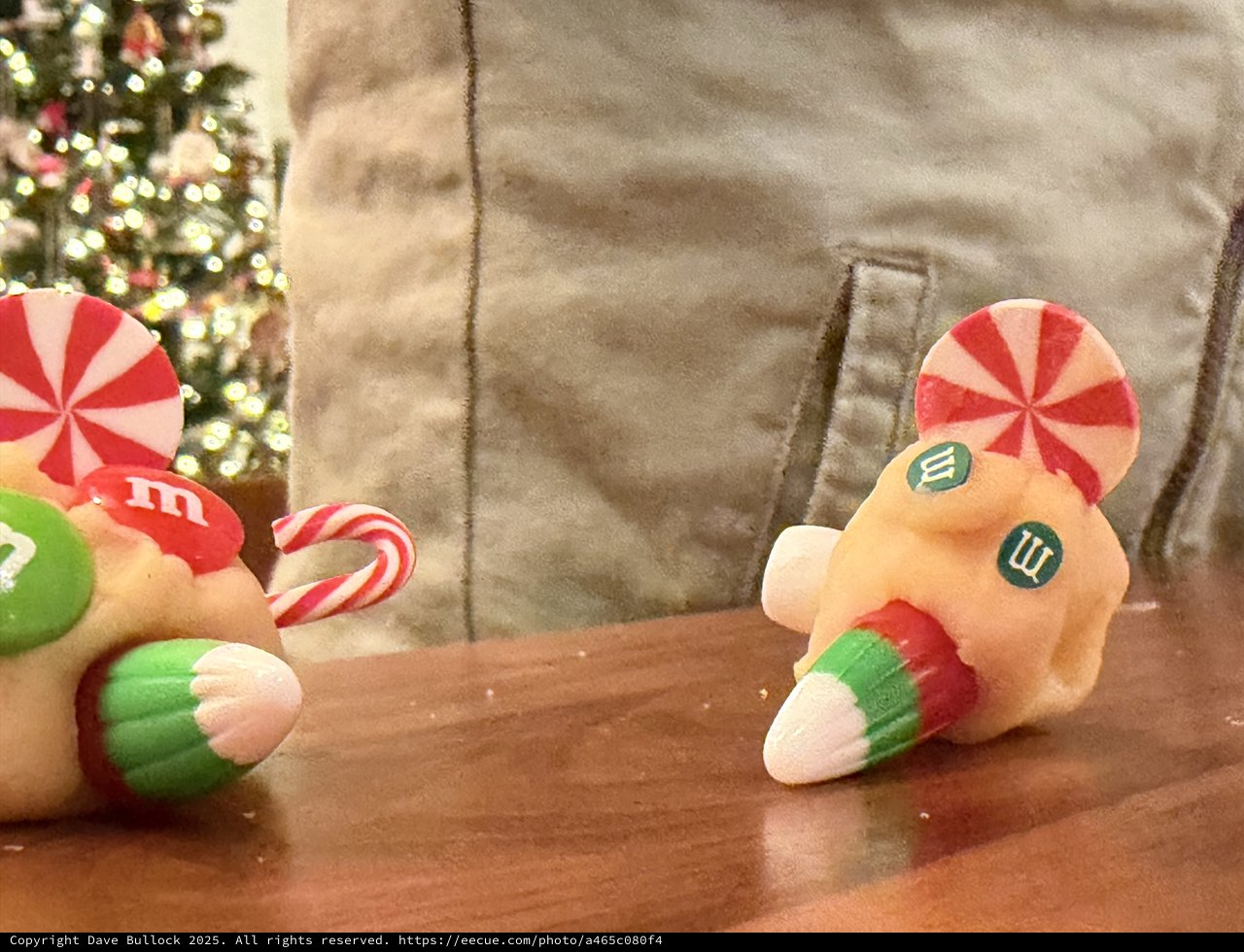 Whimsical Gingerbread Cookie Display with Christmas Tree