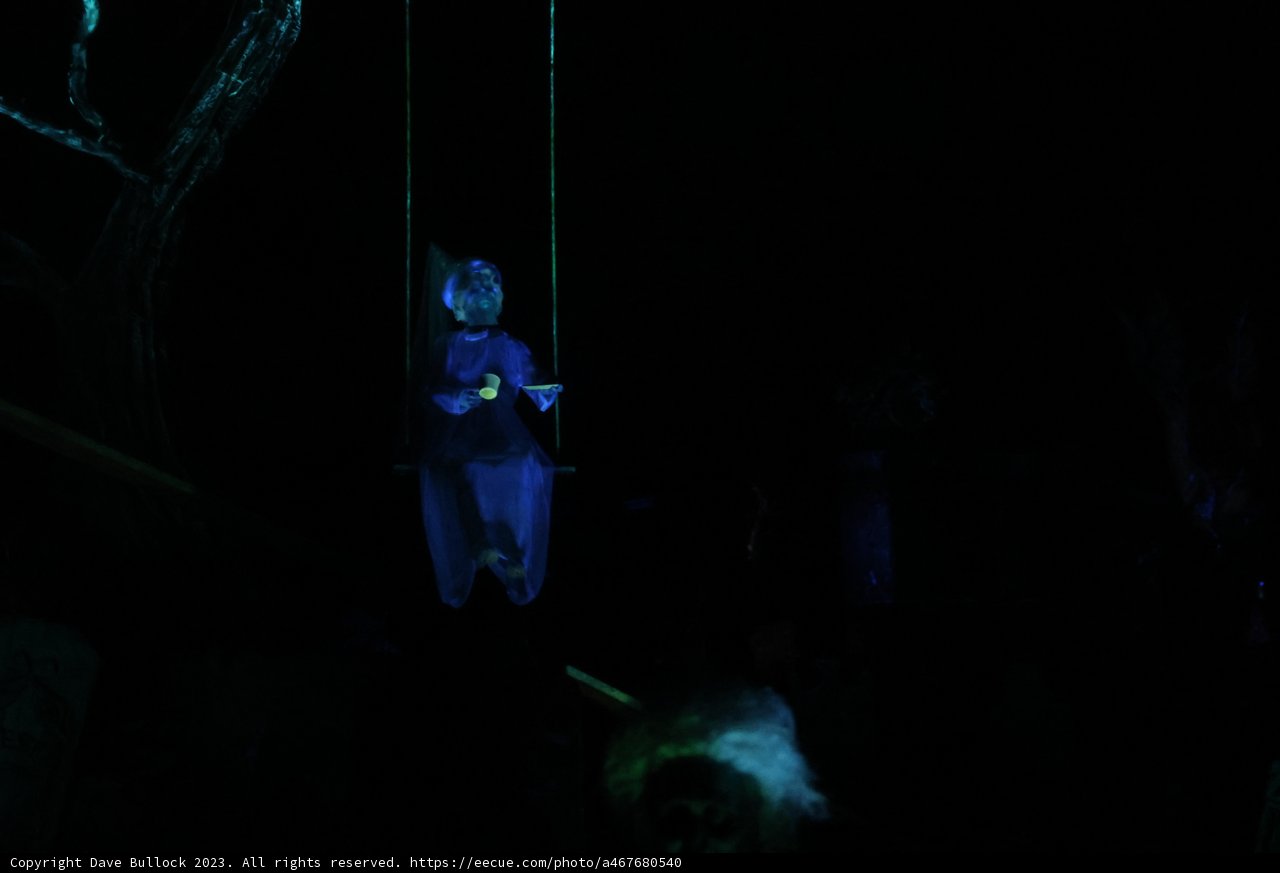 Swinging in the Dark