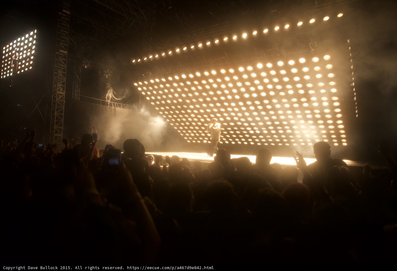 Kanye West Diamond Panel Wide