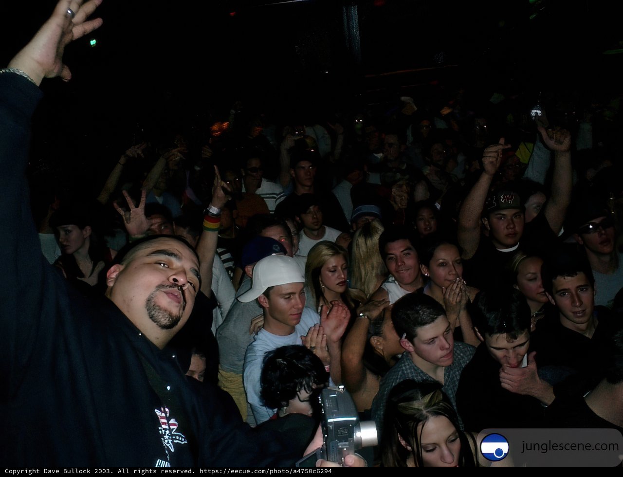 Nightclub Fun