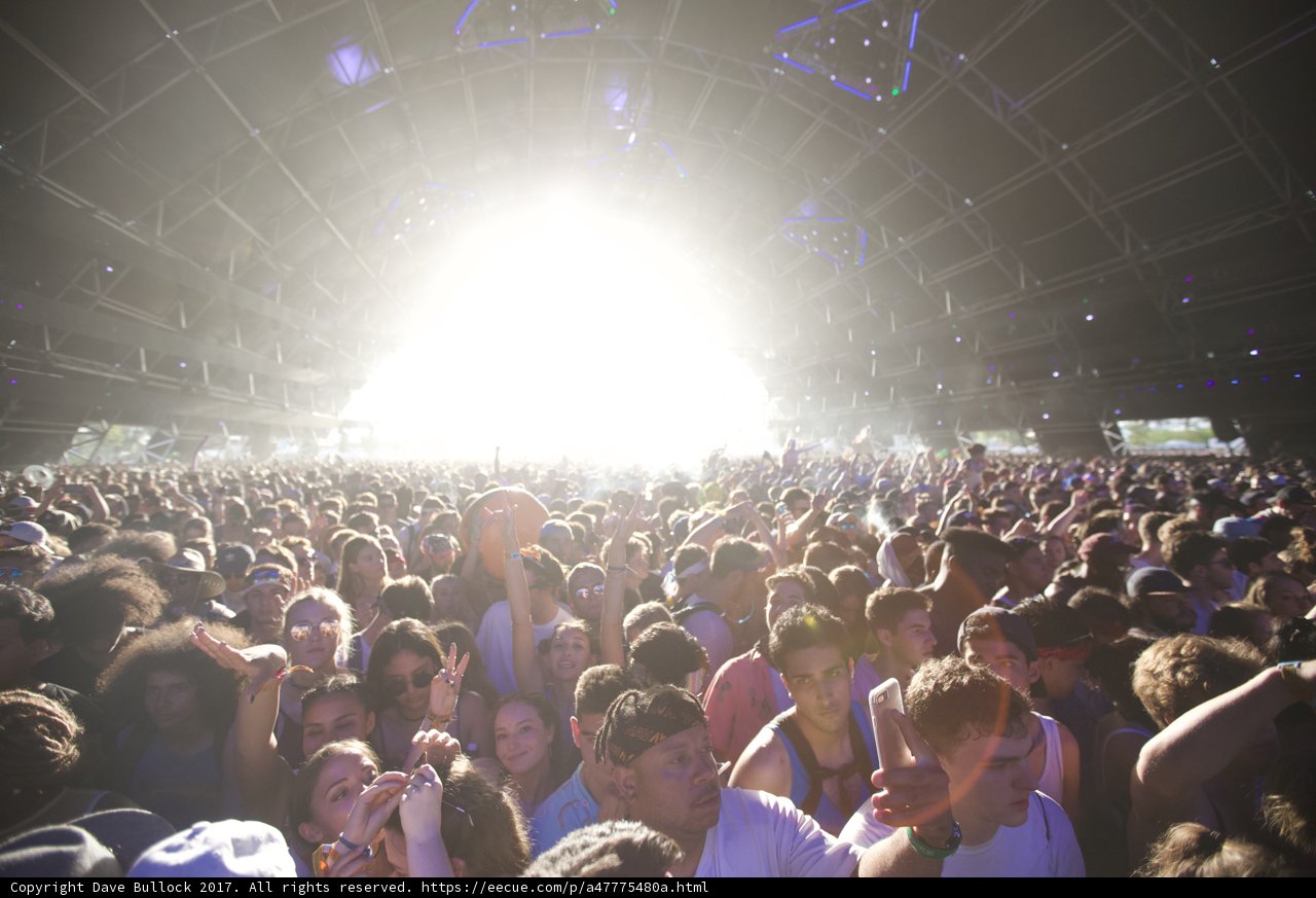 The Electric Crowd at Coachella