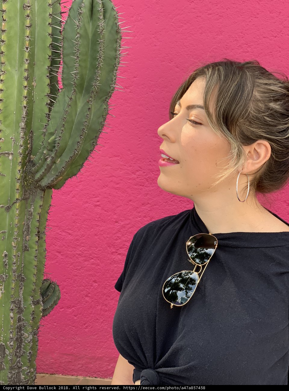 Desert Chic