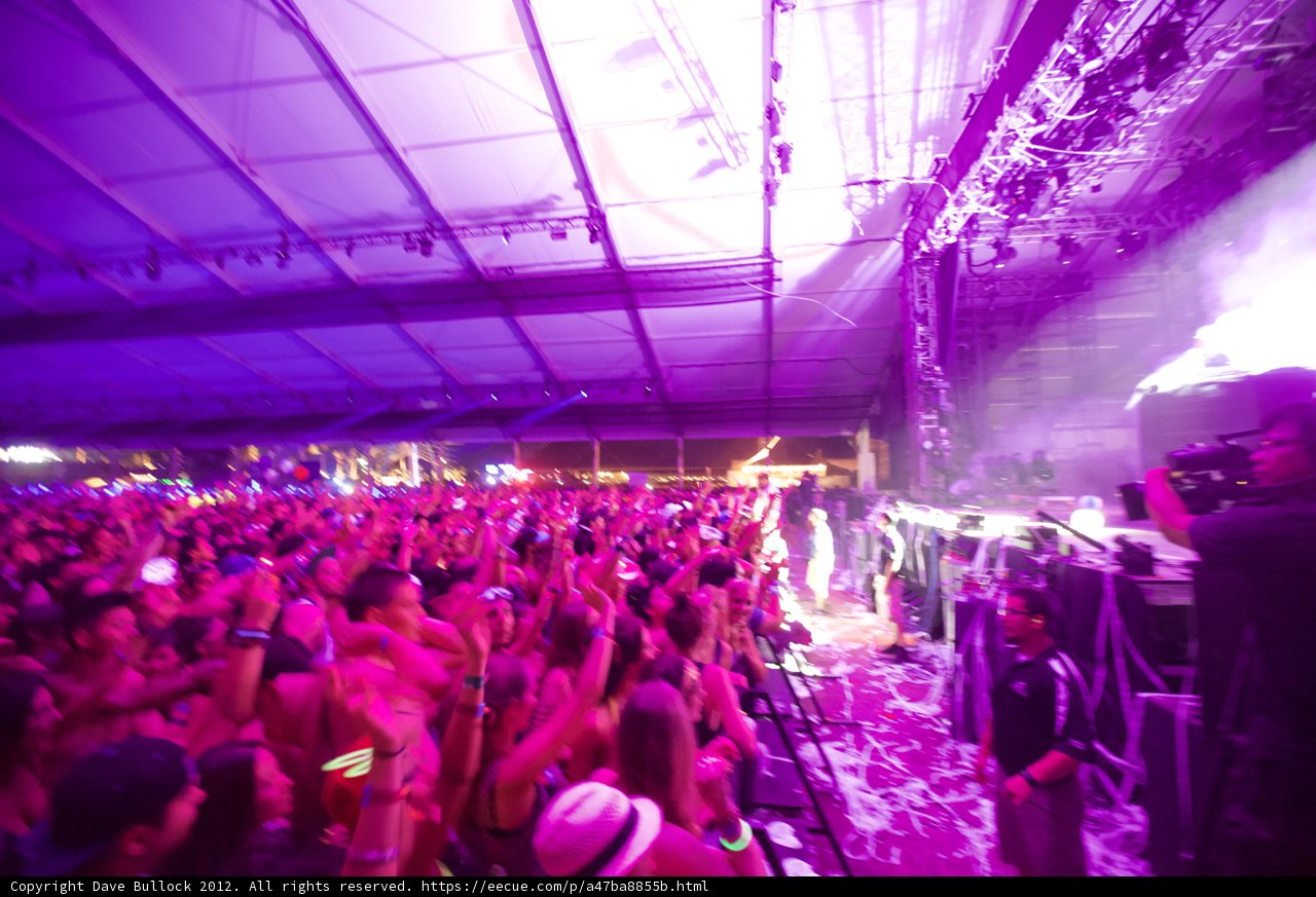 Purple Haze Party