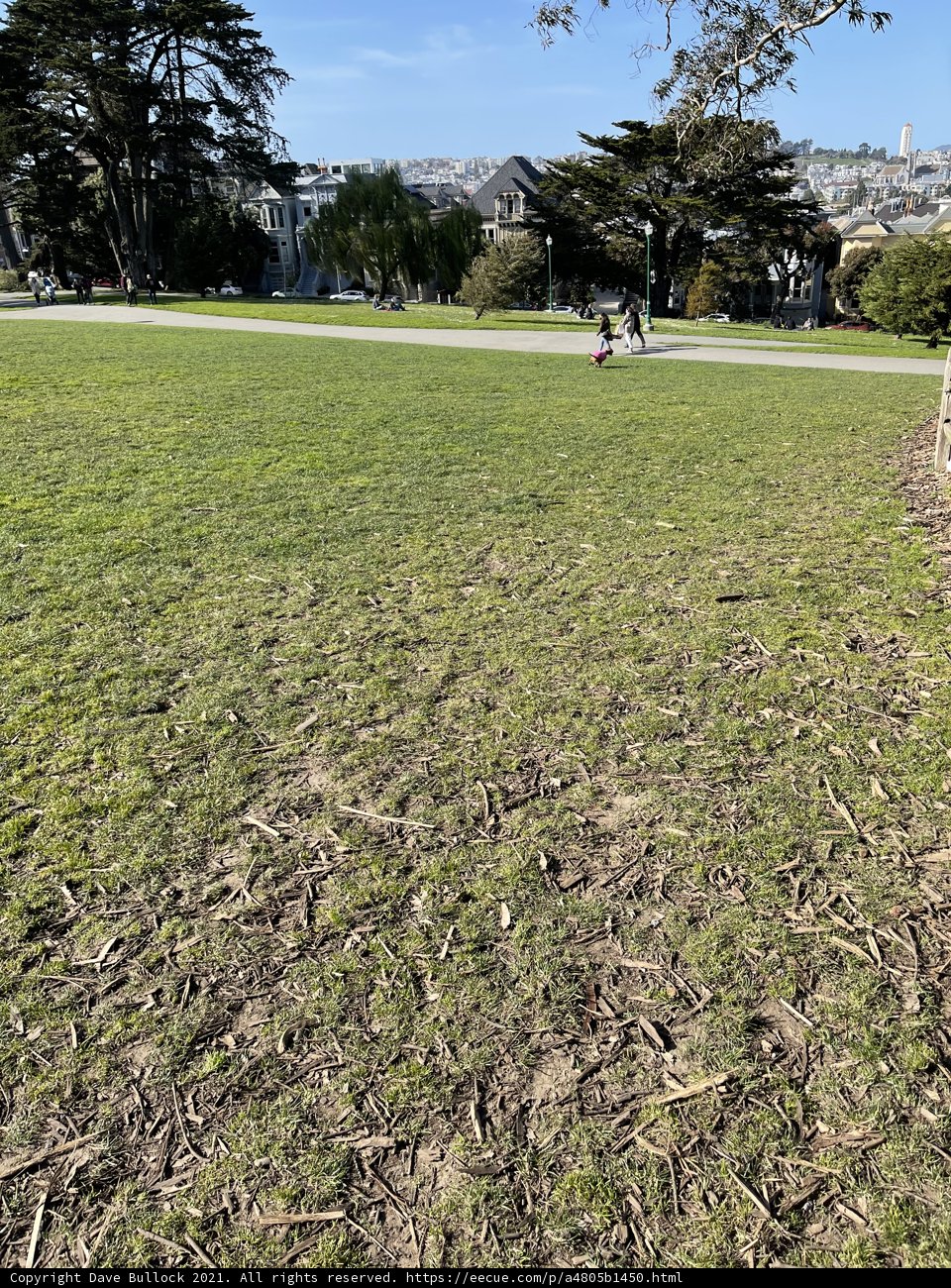 A stroll in the park