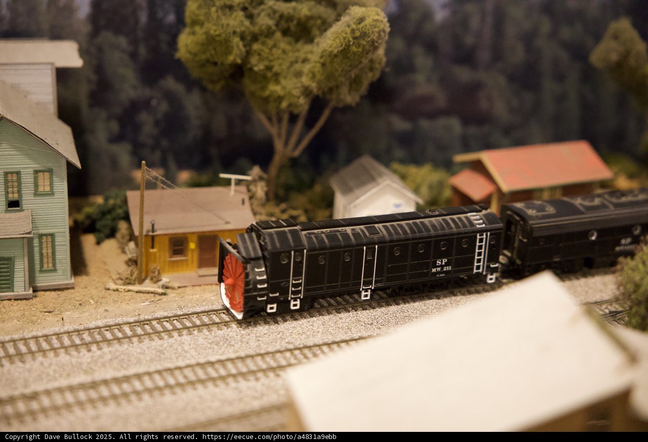 Miniature Majesty on the Rails