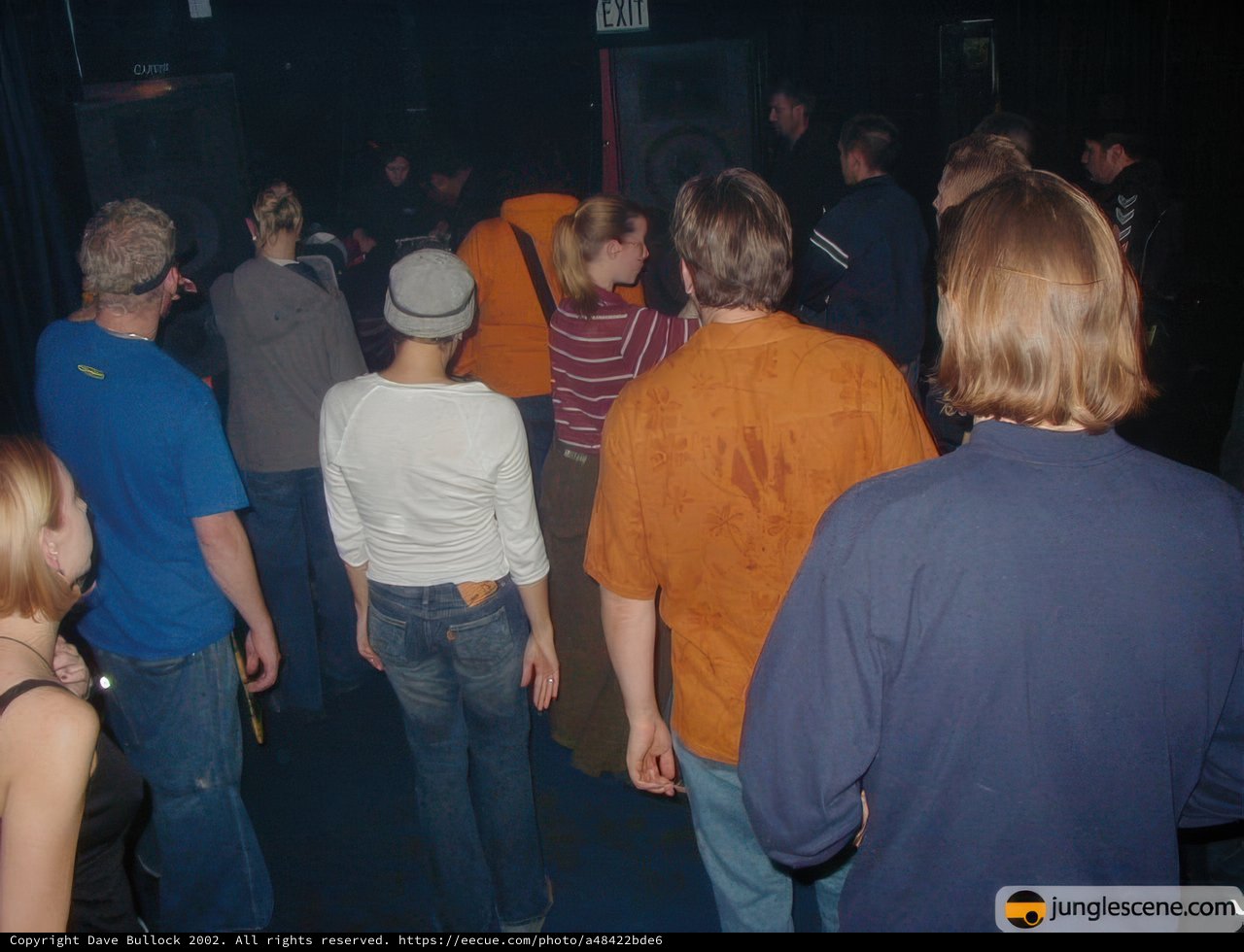 Nightclub Party Scene