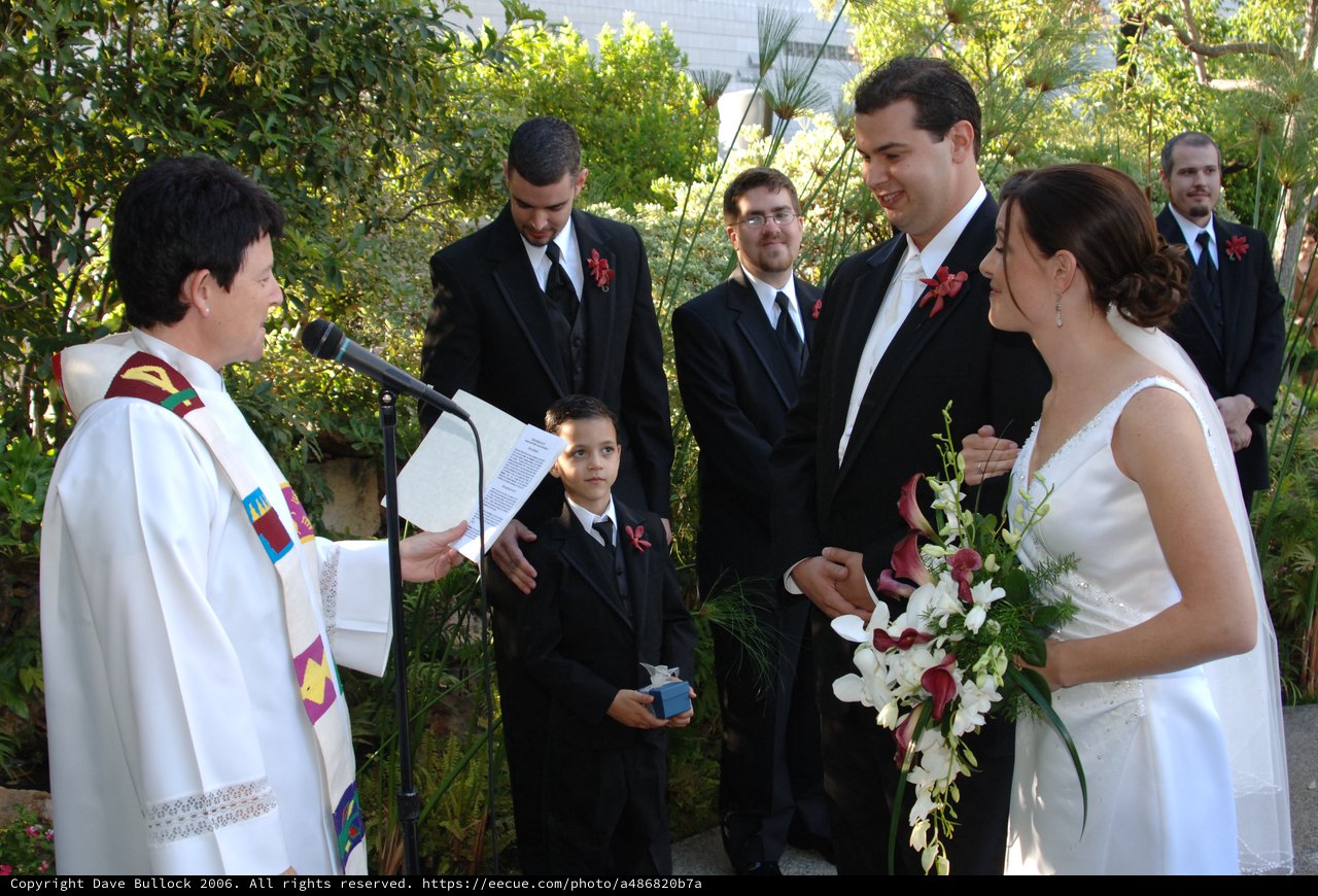 Outdoor Wedding Ceremony with Bridal Party and Officiant
