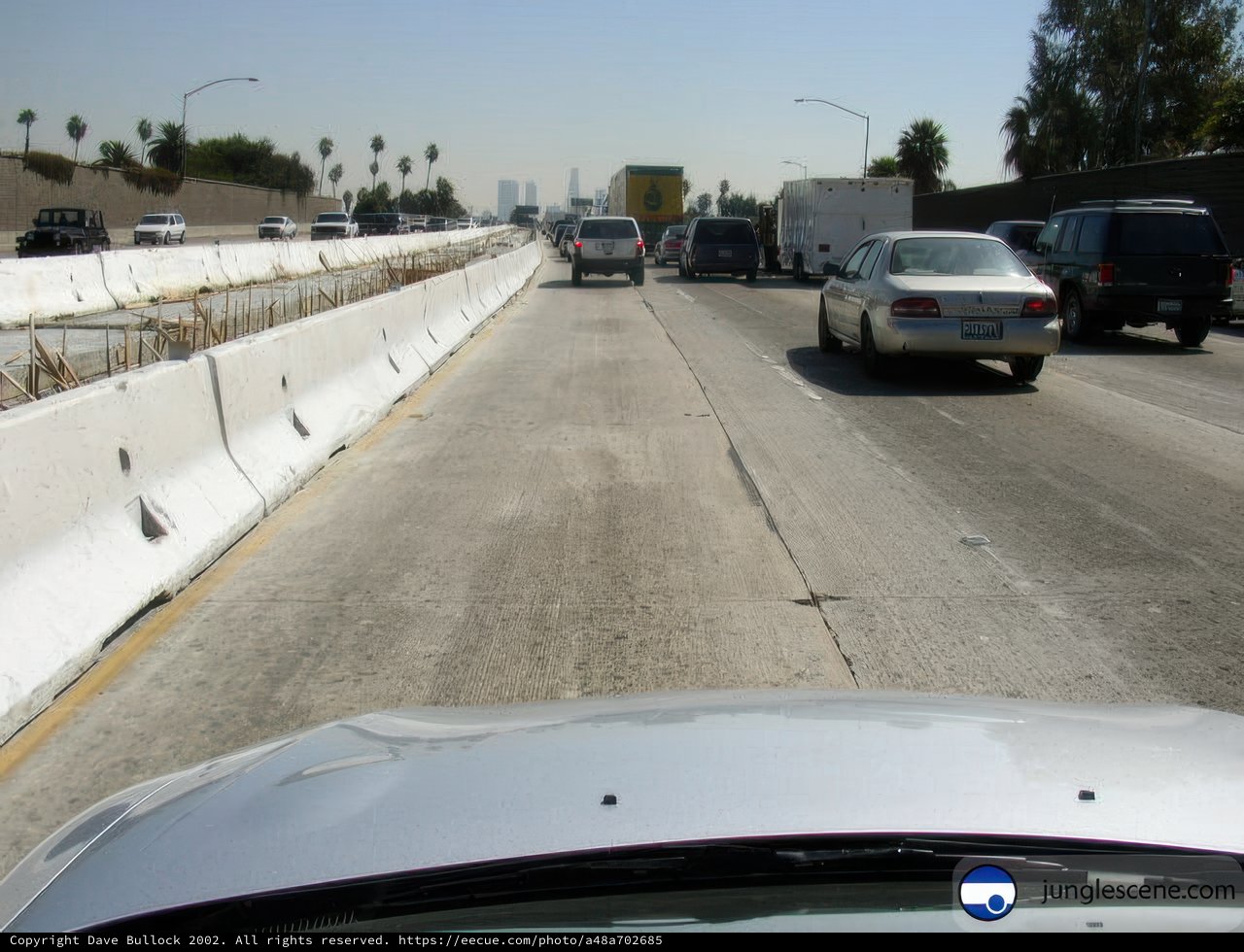 Freeway Adventure
