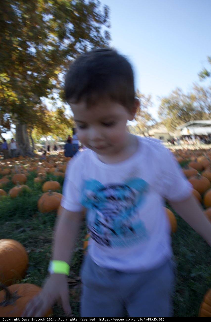 Autumn Adventures