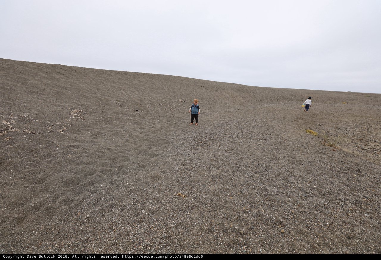 Children Exploring a Vast Gray Sand Dune