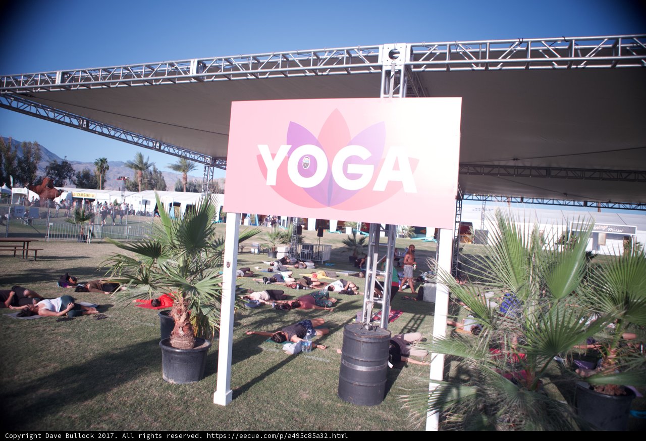Yoga in full bloom