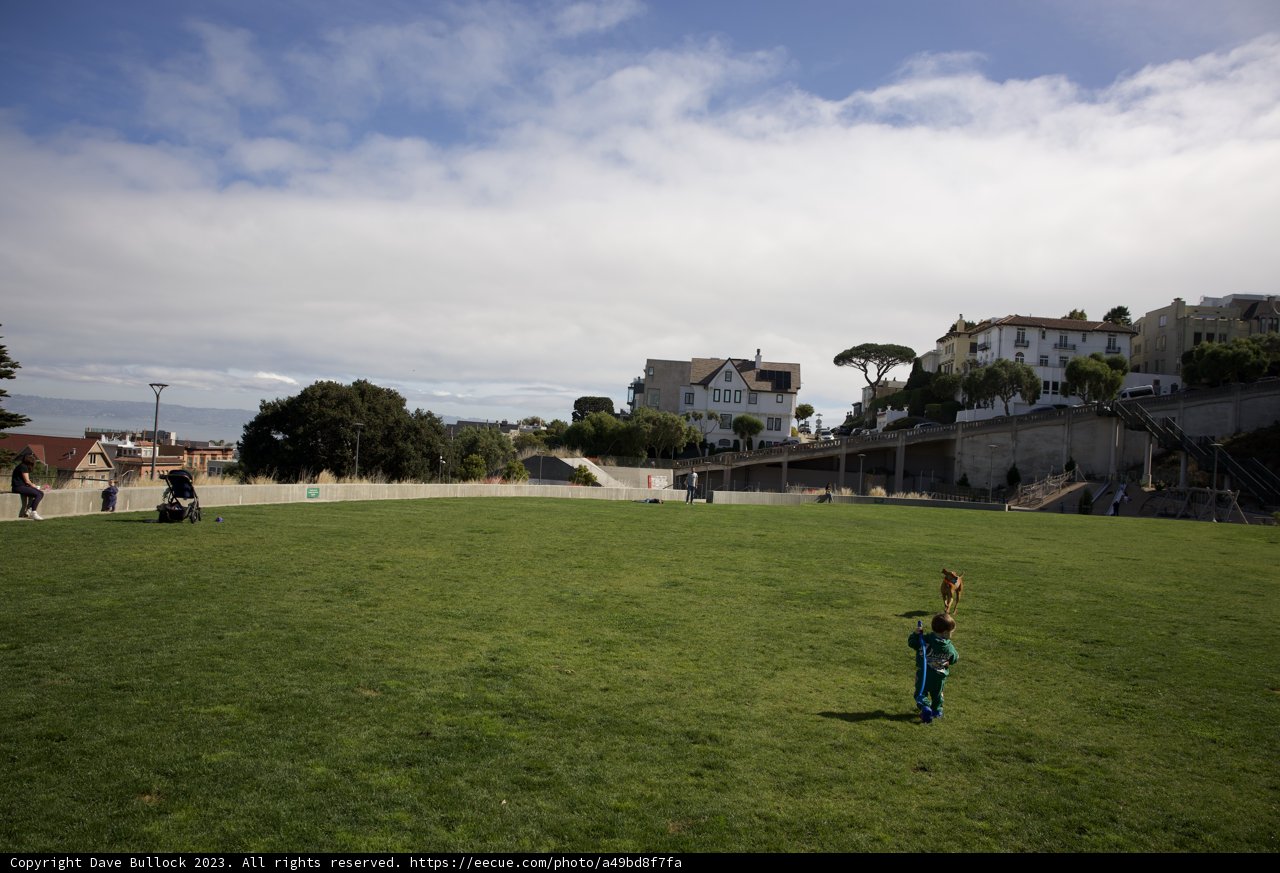 Joy Amid Nature: Kite Flying at Francisco Park