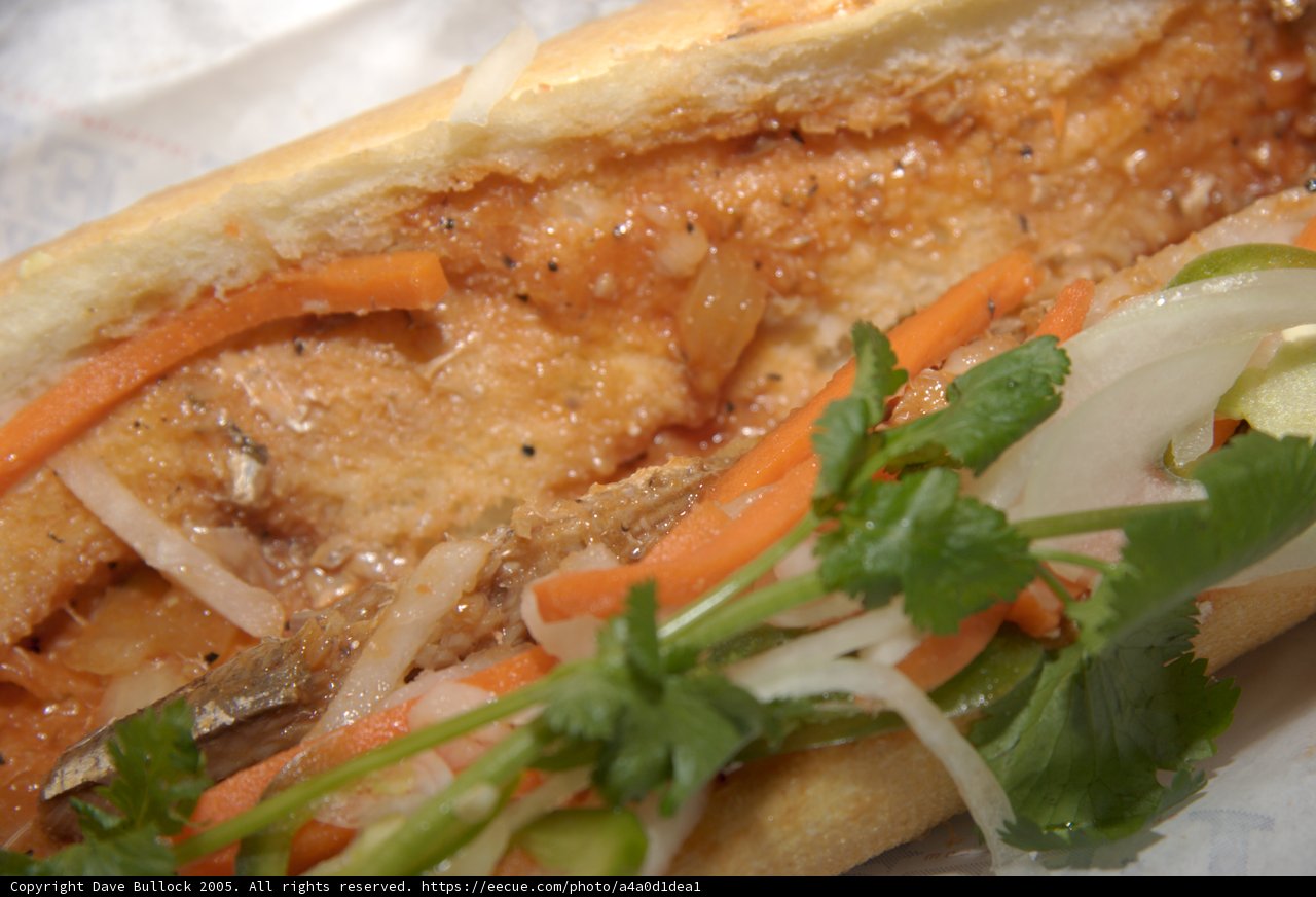 Veggie Meat Sandwich Delight