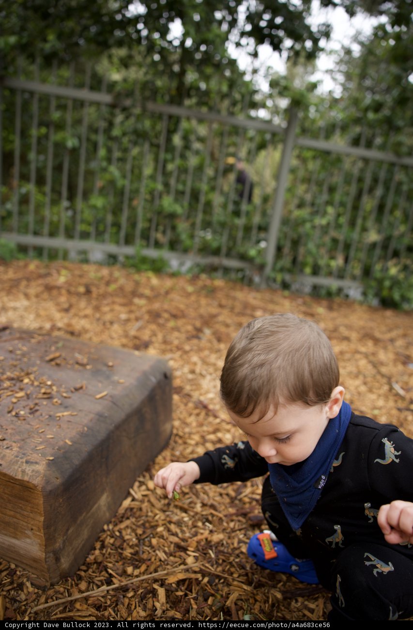 Childhood Playtime in Golden Gate Park: Wesley's Adventures